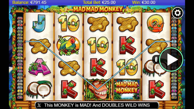 Игровой интерфейс Mad Mad Monkey 7