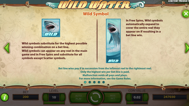 Бонусная игра Wild Water 5